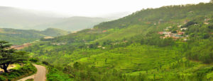 Almora_Uttarakhand